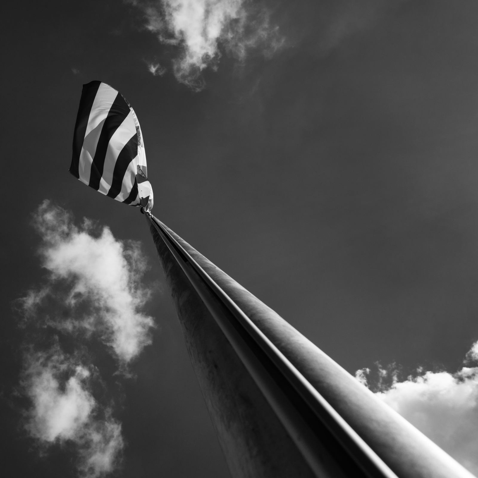 Foto Angela Dorner 0250